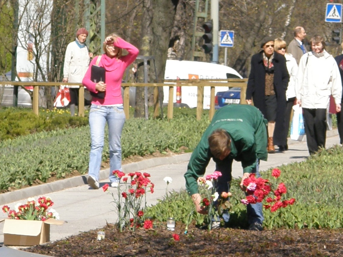 Punased nelgid Tallinnas Tõnismäel: 26. aprill 2008. Kas neid tuuakse sinna või viiakse? Foto Virgo Kruve