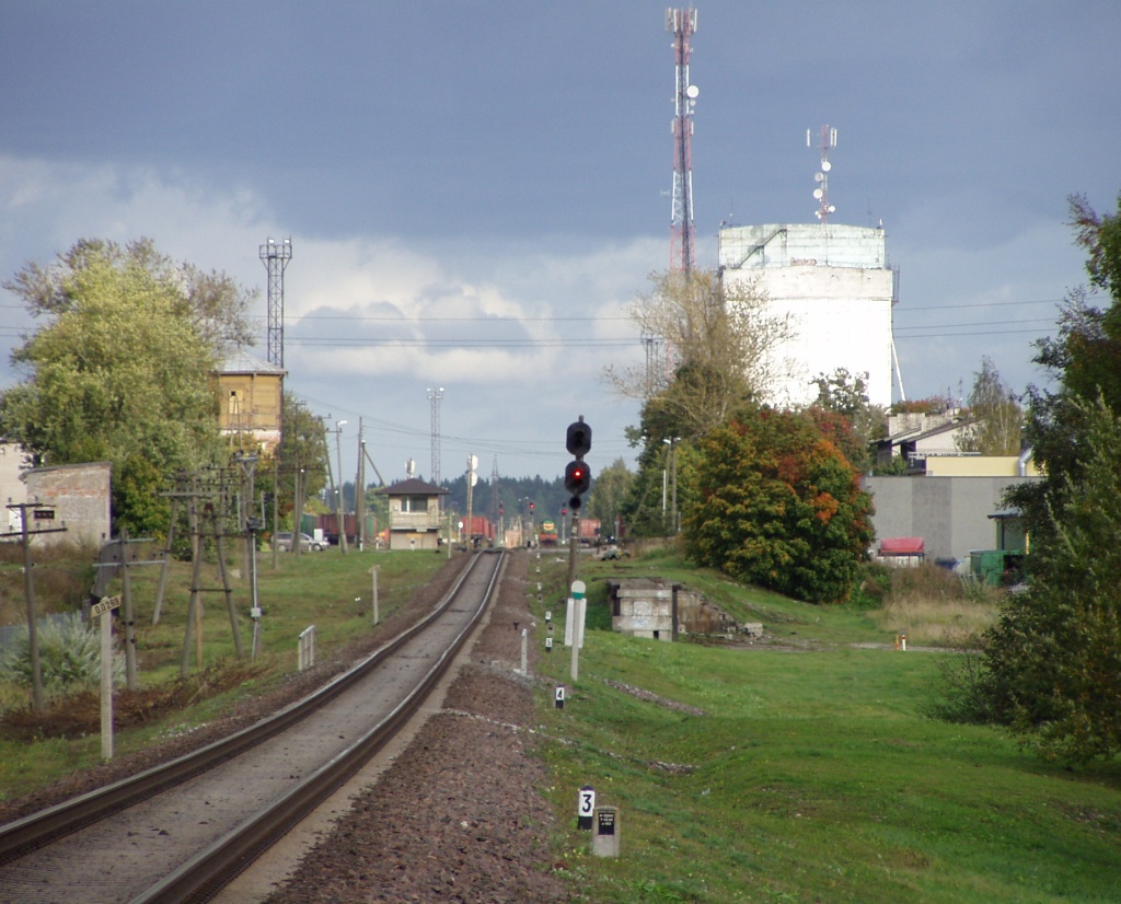 Rakvere raudteejaama suunduvad rööpad pildistatuna Näituse tänava ülekäigu kohalt õnnetuskoha ehk Kalda tänava suunas (umbes 300 m kaugusel). Foto Virgo Kruve 23. september 2009