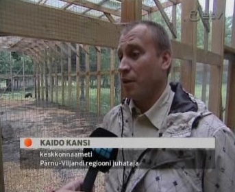 0808039 100601 2133u etv erl kaido kansi keskkonnaameti juht Eestimaa Rahvaliidu liige Kaido Kansi oli Pärnu-Viljandi regiooni keskkonnaameti juht. Eelmise aasta oktoobris kandideeris Eesti Reformierakonna nimekirjas Viljandi linnavolikokku. Kaader ETV 1. juuni 2010